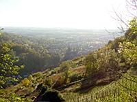 Blick auf Heppenheim