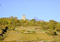 Blick auf Starkenburg vom Dom