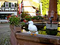 Marktplatz Brunnen