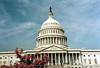 Capitol (Washington D.C.)